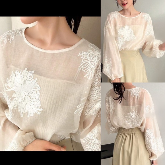 Tops - Embroidered floral print semi sheer puff sleeve blouse